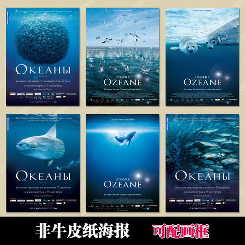 办理阿联酋KYC认证资料